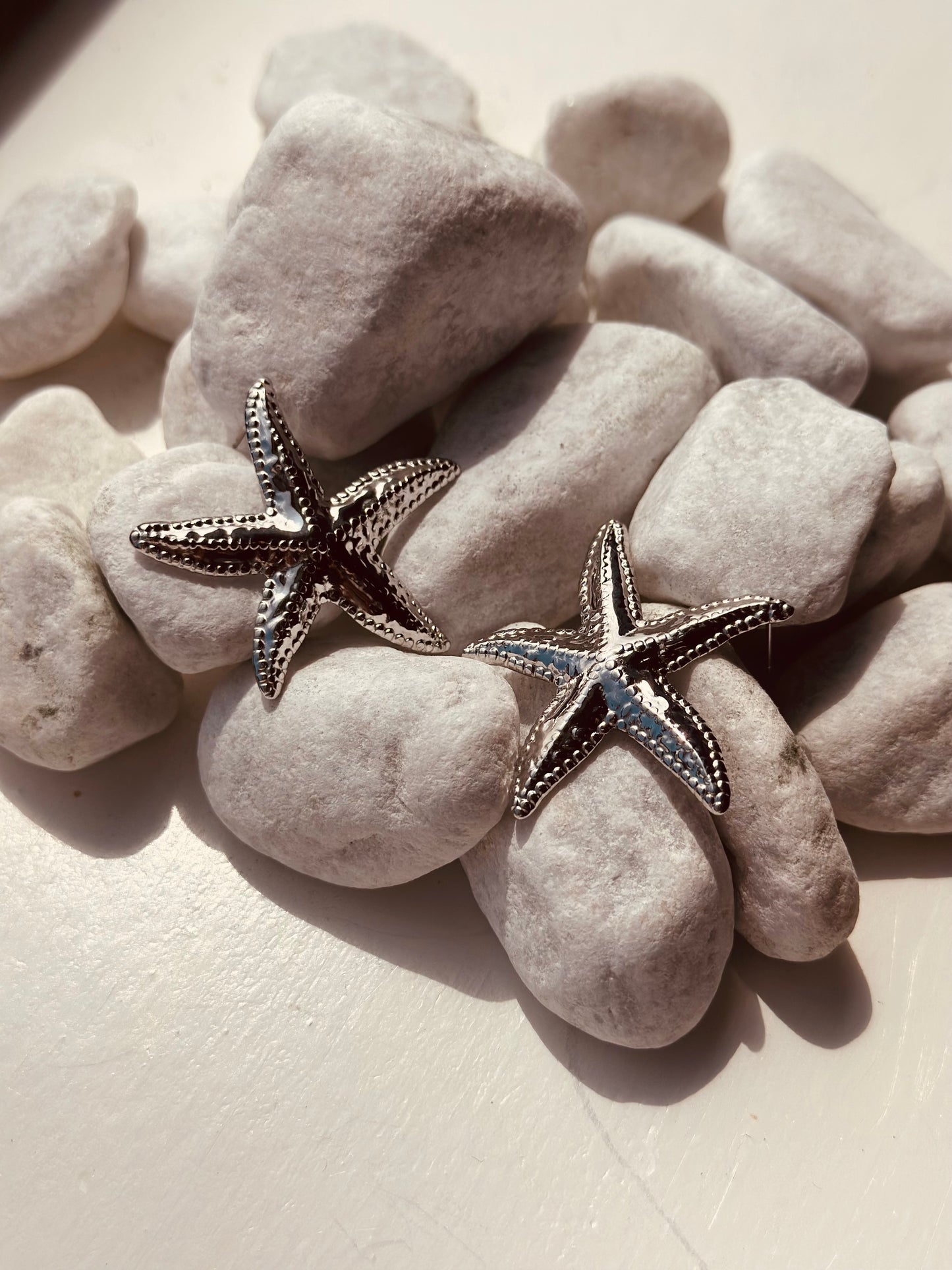 Oorbellen | Zilver | Zeester