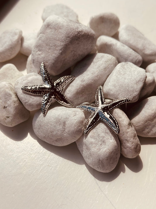 Oorbellen | Zilver | Zeester