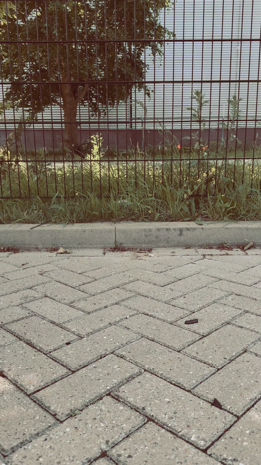 Taupe Laarzen | 7665A